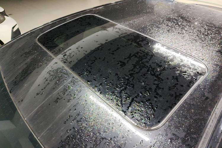 Used Nissan Sylphy 2020 1.6L XL CVT Smart Enjoyment Edition Roof