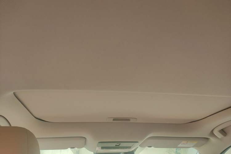 Used Nissan Sylphy 2020 1.6L TOP CVT Luxury Edition Headliner