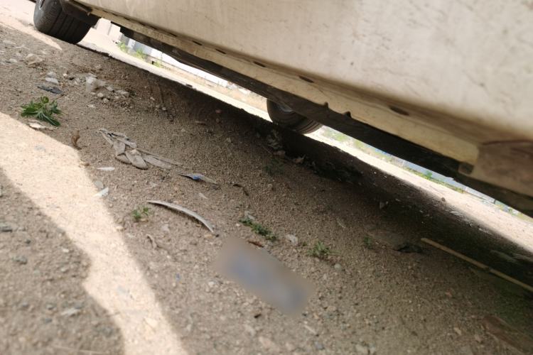 Used Nissan Sylphy 2020 1.6L XL CVT Enjoyment Edition Chassis Front Right