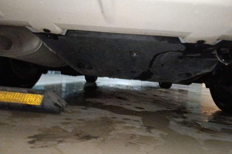 Used Nissan Sylphy 2020 1.6L XL CVT Enjoyment Edition Chassis Rear