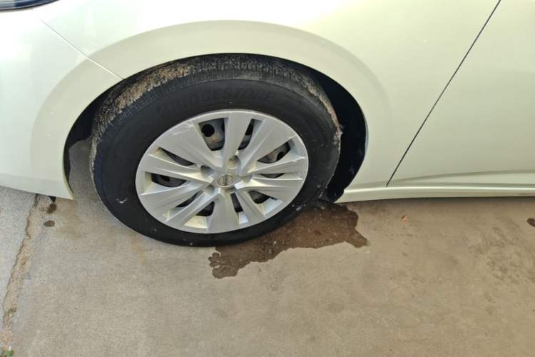 Used Nissan Sylphy 2020 1.6L XE CVT Comfort Edition Exterior 4