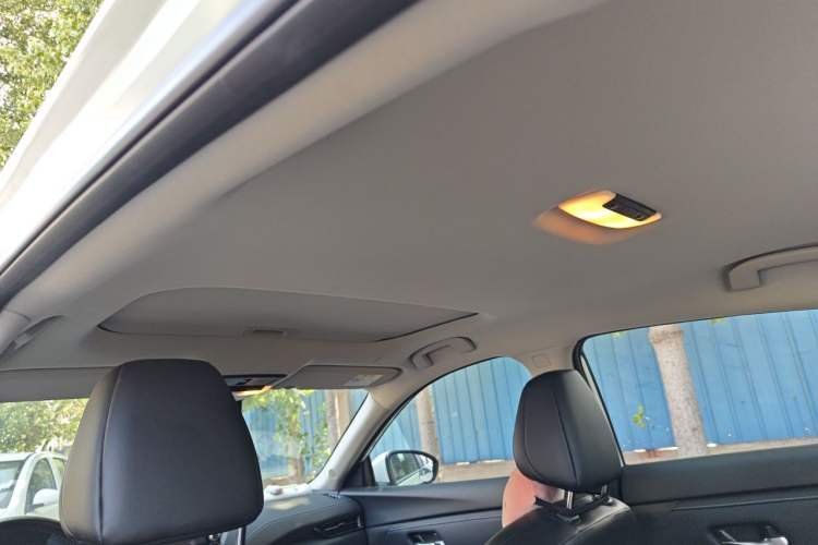 Used Nissan Sylphy 2020 1.6L XL CVT Smart Enjoyment Edition Headliner