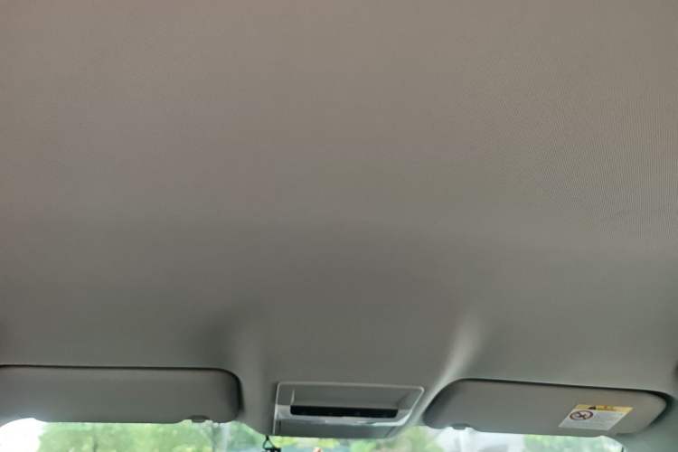 Used Nissan Sylphy 2020 1.6L XE CVT Comfort Edition Headliner