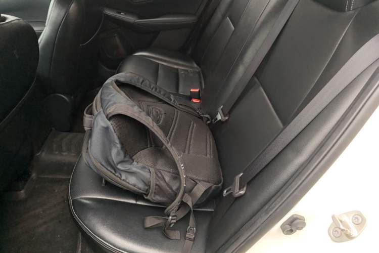 Used Nissan Sylphy 2020 1.6L XE CVT Comfort Edition Left Rear Seat