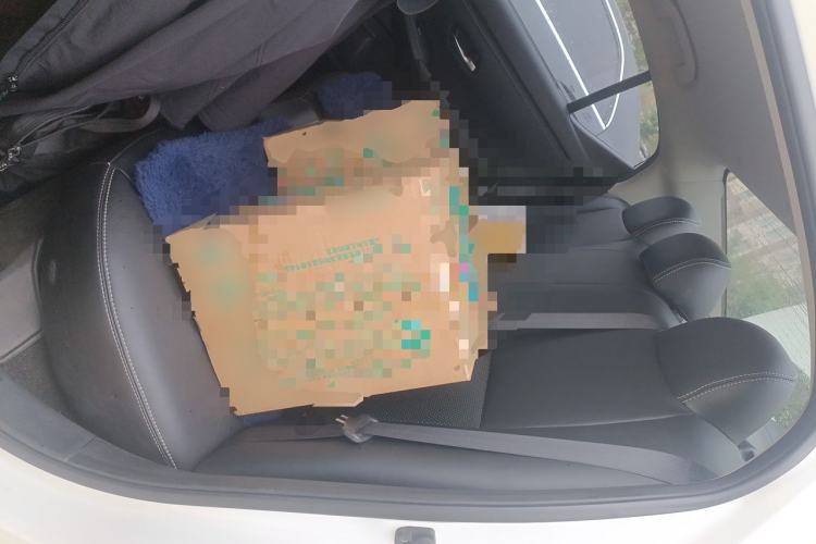 Used Nissan Sylphy 2020 1.6L XE CVT Comfort Edition Left Rear Seat