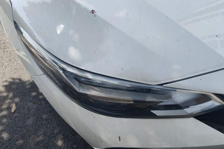 Used Nissan Sylphy 2020 Revised 1.6L XL CVT Enjoyment Edition Right Front Headlight