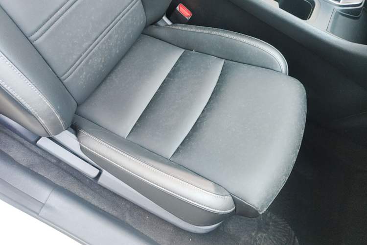 Used Nissan Sylphy 2020 1.6L XL CVT Enjoyment Edition Right Front Seat