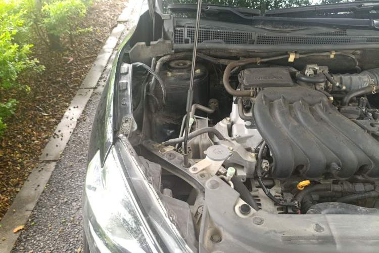 Used Nissan Sylphy 2021 Classic 1.6XL Manual Luxury Edition Engine Bay Right