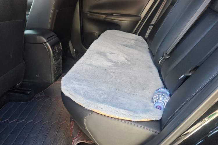 Used Nissan Sylphy 2021 Classic 1.6XL CVT Luxury Edition Left Rear Seat