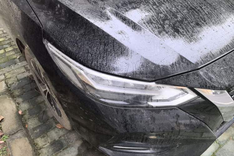 Used Nissan Sylphy 2021 1.6L XL CVT Enjoyment Edition Right Front Headlight