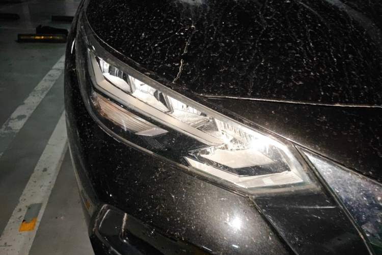Used Nissan Sylphy 2021 1.6L XL CVT Enjoyment Edition Right Front Headlight