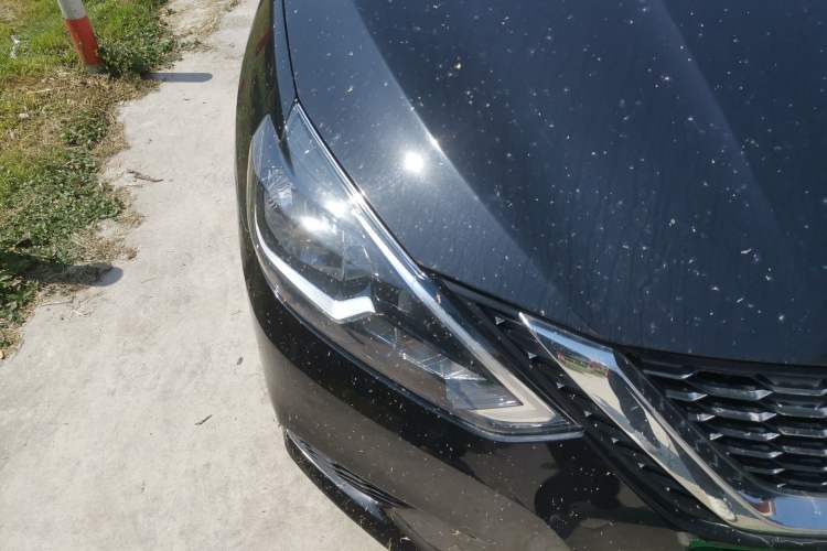 Used Nissan Sylphy 2021 Classic 1.6XE CVT Comfort Edition Right Front Headlight