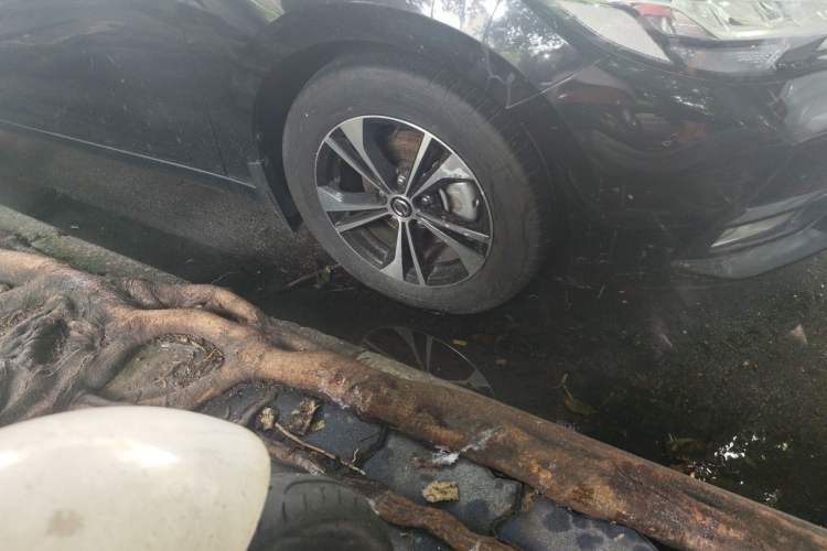 Used Nissan Sylphy 2021 1.6L XL CVT Enjoyment Edition Right Front Wheel Hub