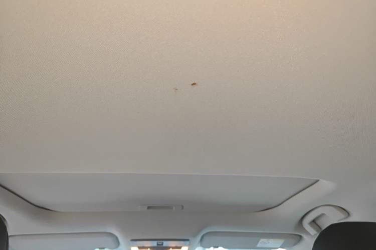 Used Nissan Sylphy 2021 1.6L XL CVT Enjoyment Edition Headliner