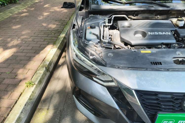 Used Nissan Sylphy 2021 1.6L XL CVT Enjoyment Edition Right Front Headlight