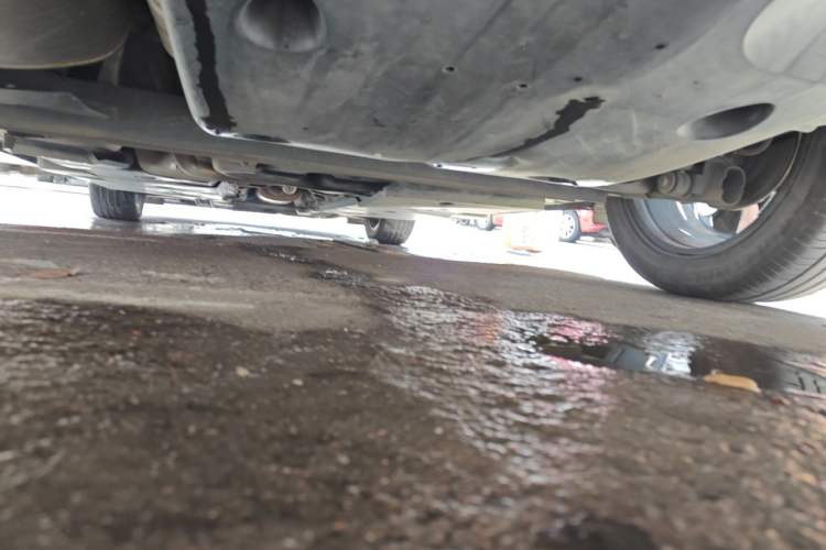 Used Nissan Sylphy 2021 1.6L TOP CVT Luxury Edition Chassis Rear