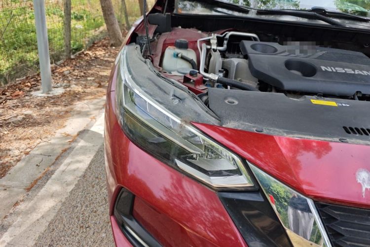 Used Nissan Sylphy 2021 1.6L XL CVT Enjoyment Edition Right Front Headlight
