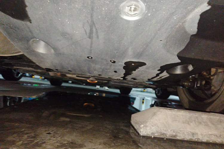 Used Nissan Sylphy 2021 1.6L XL CVT Enjoyment Edition Chassis Rear