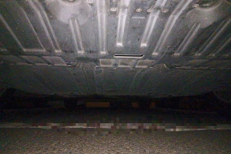 Used Nissan Sylphy 2021 1.6L XL CVT Enjoyment Edition Chassis Front