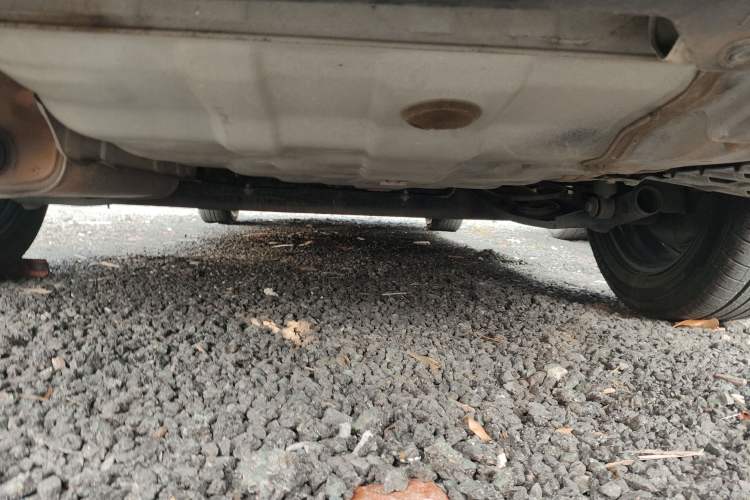 Used Nissan Sylphy 2021 Classic 1.6XE CVT Comfort Edition Chassis Rear