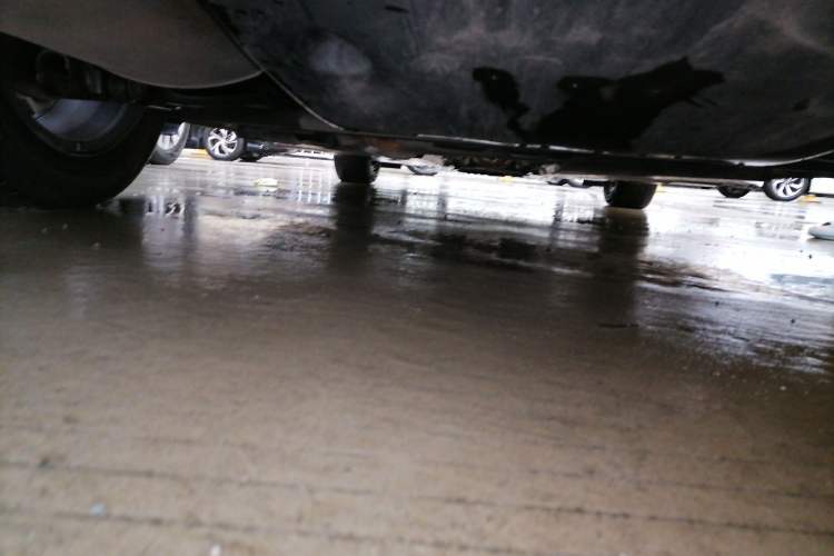 Used Nissan Sylphy 2021 1.6L XL CVT Enjoyment Edition Chassis Rear