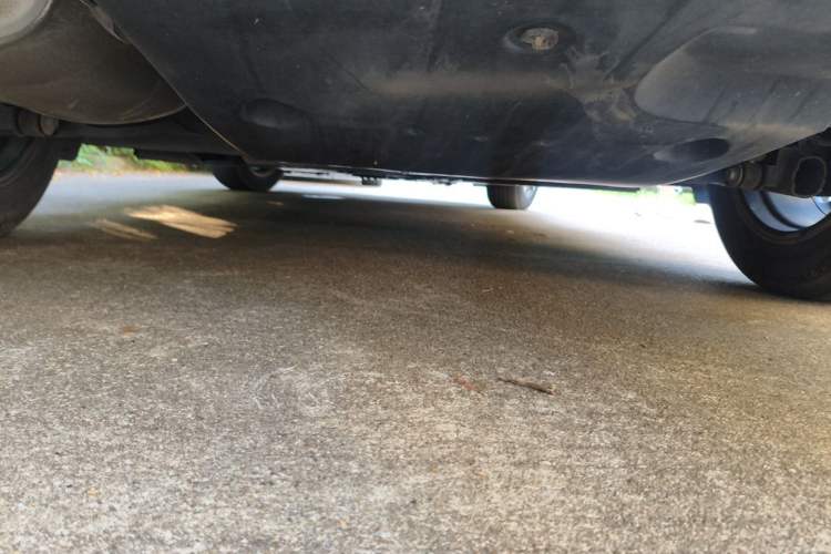 Used Nissan Sylphy 2021 1.6L XL CVT Enjoyment Edition Chassis Rear