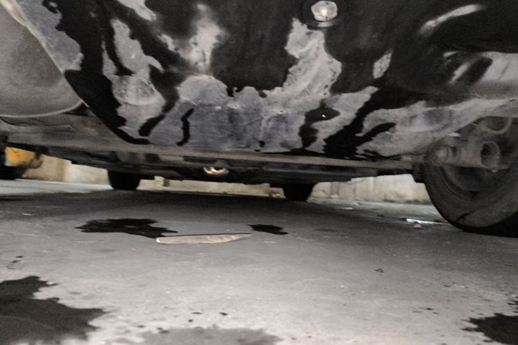 Used Nissan Sylphy 2021 1.6L XL CVT Enjoyment Edition Chassis Rear
