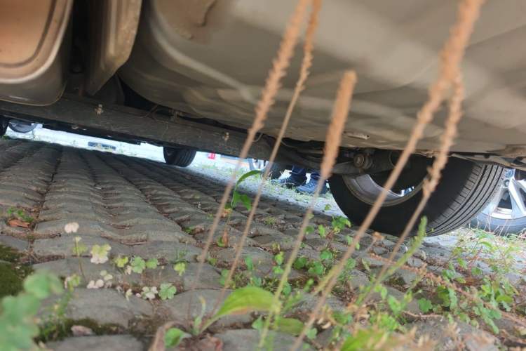 Used Nissan Sylphy 2021 Classic 1.6XL CVT Luxury Edition Chassis Rear