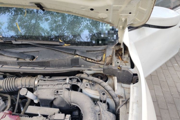Used Nissan Sylphy 2021 Classic 1.6XE CVT Comfort Edition Engine Bay Left
