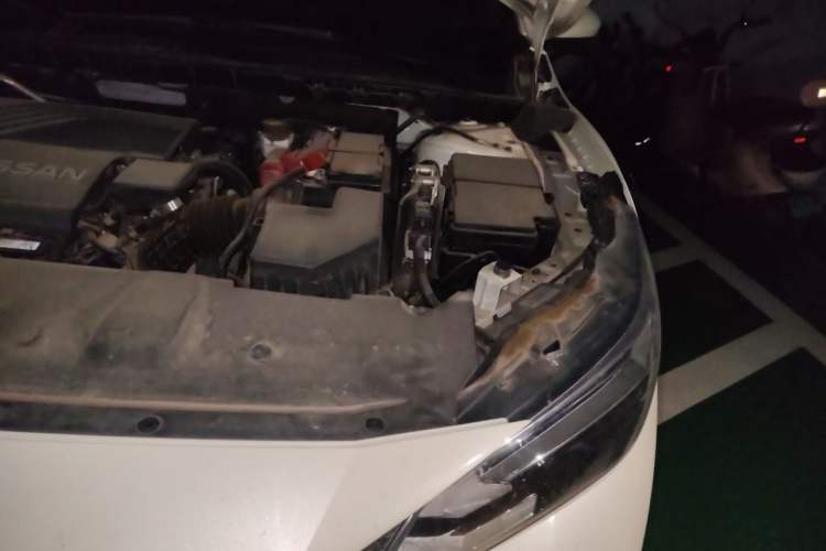 Used Nissan Sylphy 2021 1.6L XL CVT Enjoyment Edition Engine Bay Left