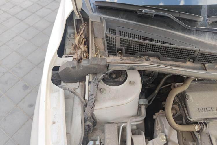 Used Nissan Sylphy 2021 Classic 1.6XL CVT Luxury Edition Engine Bay Right