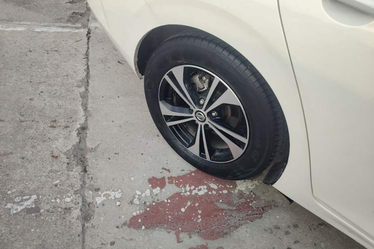 Used Nissan Sylphy 2021 1.6L XL CVT Enjoyment Edition Exterior 5