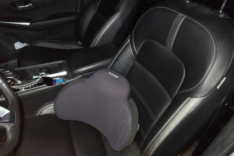 Used Nissan Sylphy 2021 1.6L XL CVT Enjoyment Edition Left Front Seat