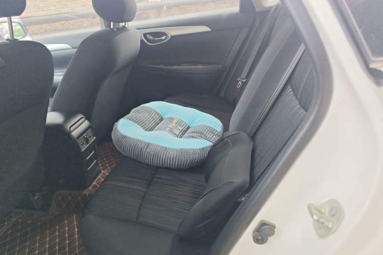 Used Nissan Sylphy 2021 Classic 1.6XE CVT Comfort Edition Left Rear Seat