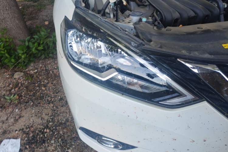 Used Nissan Sylphy 2021 Classic 1.6XL CVT Luxury Edition Right Front Headlight