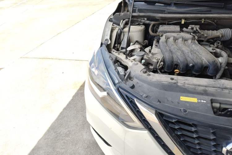 Used Nissan Sylphy 2021 Classic 1.6XE CVT Comfort Edition Right Front Headlight
