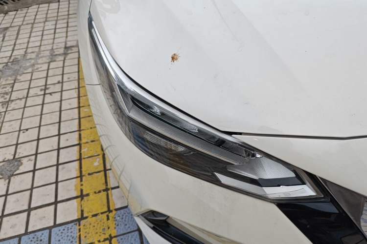 Used Nissan Sylphy 2021 1.6L XL CVT Enjoyment Edition Right Front Headlight