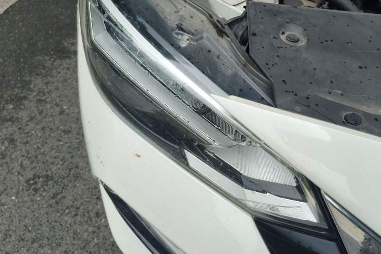Used Nissan Sylphy 2021 1.6L XL CVT Enjoyment Edition Right Front Headlight