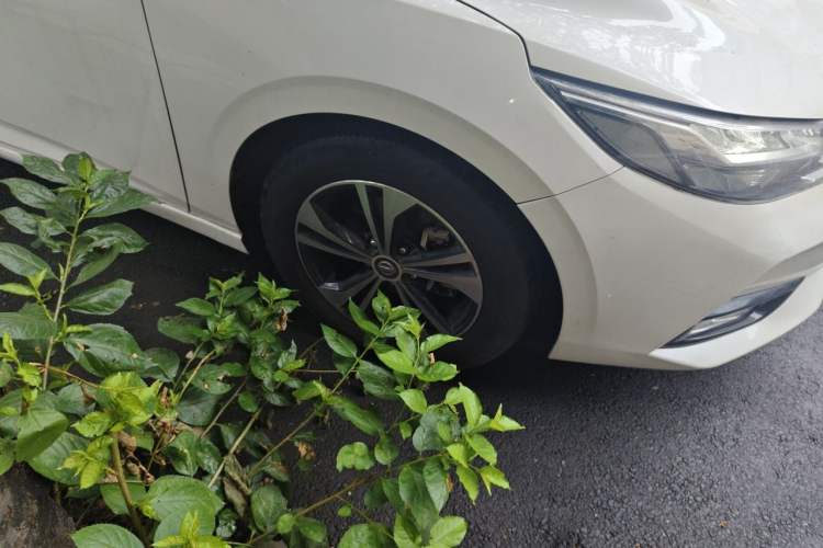 Used Nissan Sylphy 2021 1.6L XL CVT Enjoyment Edition Right Front Wheel Hub