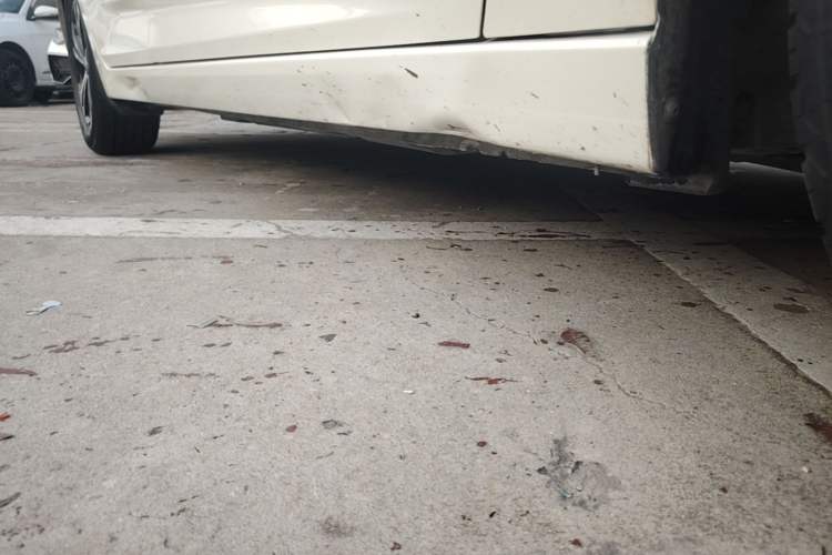 Used Nissan Sylphy 2021 1.6L XL CVT Enjoyment Edition Right Side Sill