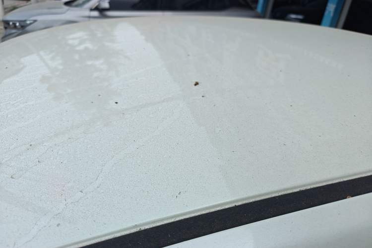 Used Nissan Sylphy 2021 Classic 1.6XE CVT Comfort Edition Roof