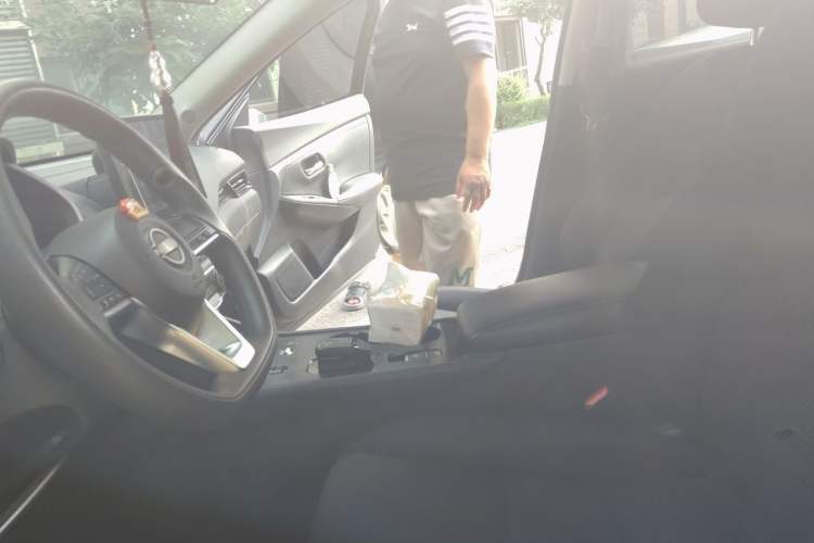 Used Nissan Sylphy 2022 e-POWER All-Electric Drive Pro Left Front Seat