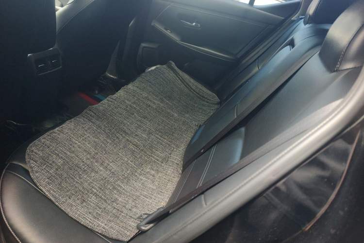 Used Nissan Sylphy 2022 1.6L XL CVT Enjoyment Edition Left Rear Seat