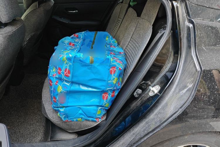 Used Nissan Sylphy 2022 e-POWER All-Electric Drive Pro Left Rear Seat