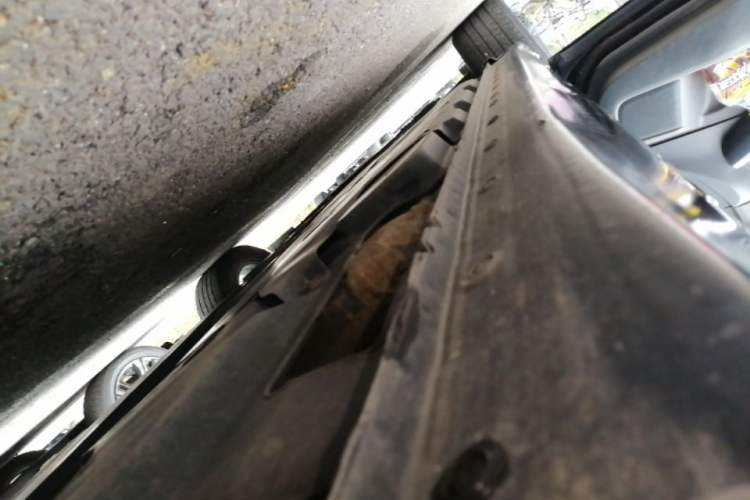 Used Nissan Sylphy 2022 1.6L XL CVT Enjoyment Edition Left Side Sill