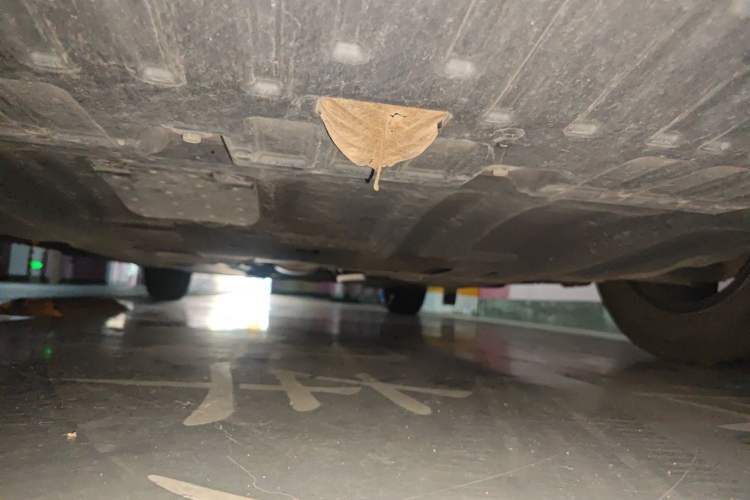 Used Nissan Sylphy 2022 1.6L XL CVT Enjoyment Edition Chassis Front
