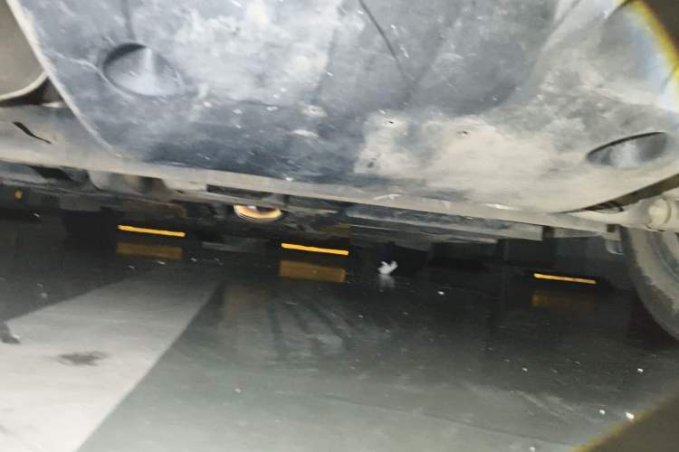 Used Nissan Sylphy 2022 1.6L XL CVT Enjoyment Edition Chassis Rear