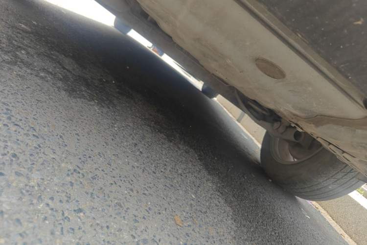 Used Nissan Sylphy 2022 Classic 1.6XE CVT Comfort Edition Chassis Rear
