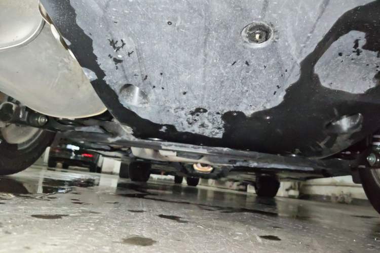 Used Nissan Sylphy 2022 1.6L XL CVT Enjoyment Edition Chassis Rear