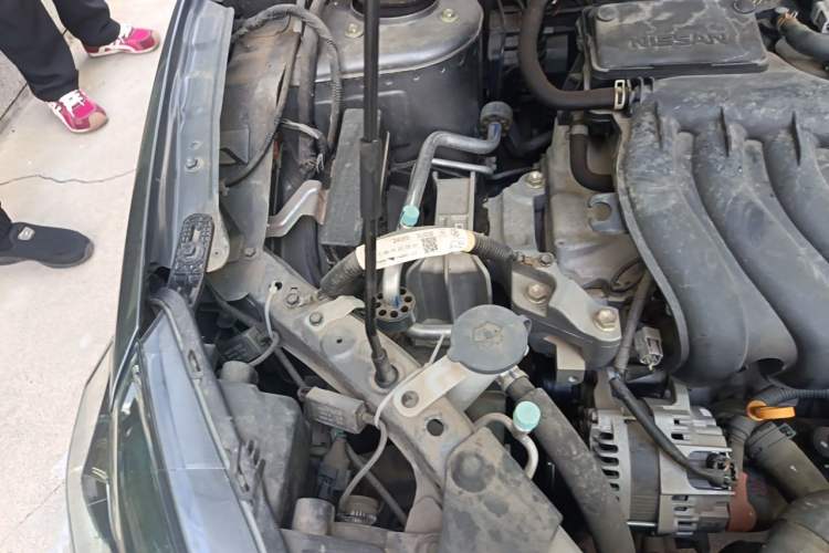 Used Nissan Sylphy 2022 Classic 1.6XE CVT Comfort Edition Engine Bay Right